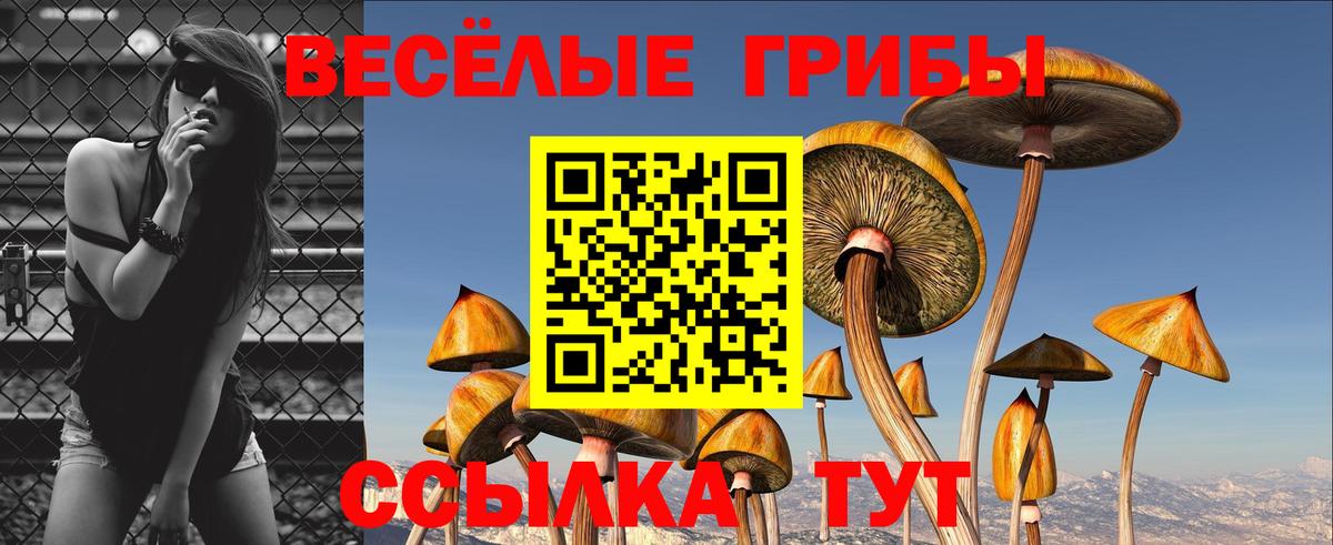 Галлюциногенные грибы Magic Shrooms  Псилоцибиновые грибы ЛСД  Вход с VPN  Соликамск 