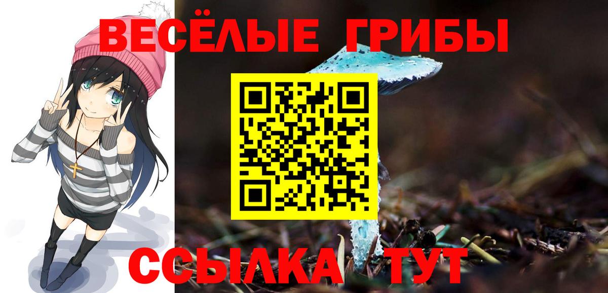 Псилоцибиновые грибы Magic Shrooms  Соликамск  Псилоцибиновые грибы мицелий 